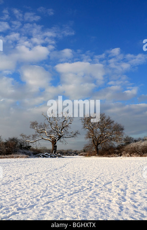 Winter Schnee in Tolworth Court Farm Nature Reserve, Kingston, Surrey, England, UK. Januar 2010 Stockfoto