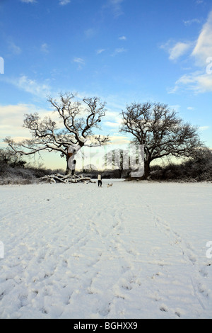 Winter Schnee in Tolworth Court Farm Nature Reserve, Kingston, Surrey, England, UK. Januar 2010 Stockfoto