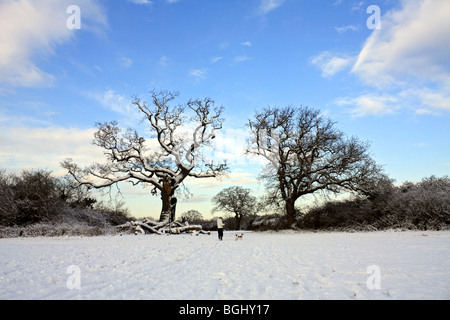 Winter Schnee in Tolworth Court Farm Nature Reserve, Kingston, Surrey, England, UK. Januar 2010 Stockfoto