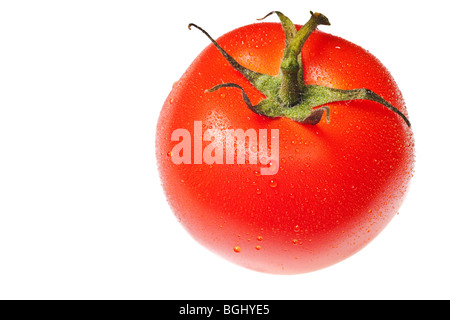 Tomaten auf einem reinen weißen Hintergrund isoliert Stockfoto