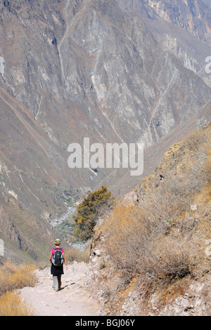 Trekking im Colca Canyon von Peru Frau Stockfoto