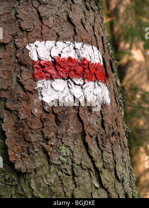 Weißen und roten Streifen Trail Zeichen auf Rinde gemalt Stockfoto