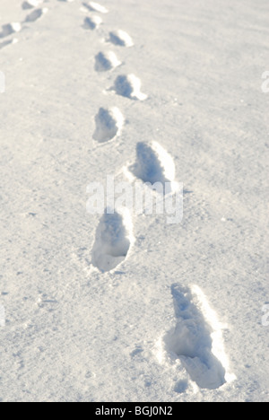 Fußspuren im Schnee. Stockfoto
