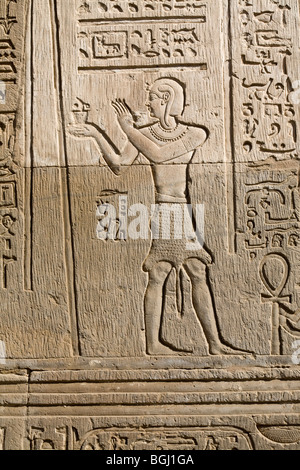 Relief an der Außenwand am Tempel von Haroeris und Sobek in Kom Ombo im Niltal, Oberägypten Stockfoto