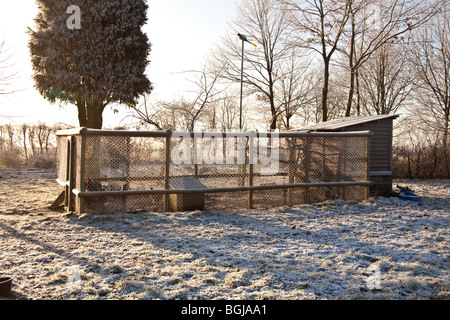 Huhn Staatsstreich oder Stall, bedeckt in Frost, Hampshire, England. Stockfoto