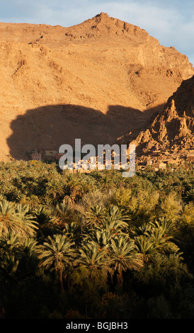 eine Oase-Tal in der Nähe von Tinghir im Süden Marokkos Stockfoto