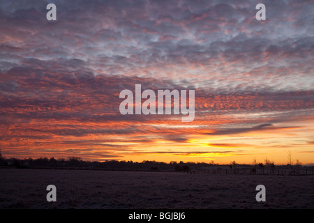 Sonnenaufgang über dem frostigen Felder, Hampshire, England. Stockfoto