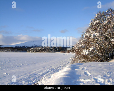 Loch Insh eingefroren im Januar unter dem Schnee Inverness-Shire, Scotland Stockfoto