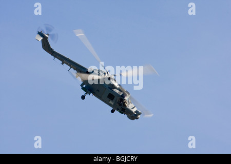 Lynx hat. MK. 3 von der königlichen Marine display Team Black Cats auf der RAF Leuchars Airshow 2009, Fife, Schottland Stockfoto