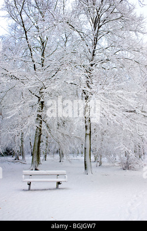 Thorndon Park - starker Schneefall in einem Wald in Essex. Stockfoto