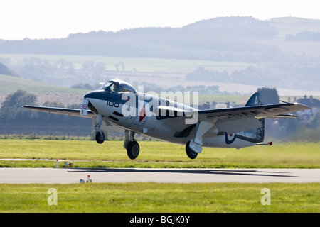 Königliche Marine historischen Flug Sea Hawk FGA.6 WV908 an RAF Leuchars Airshow 2009, Fife, Schottland Stockfoto