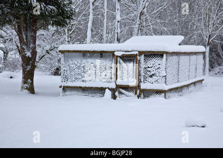 Schneebedeckte Huhn Staatsstreich oder Stall, Hampshire, England. Stockfoto