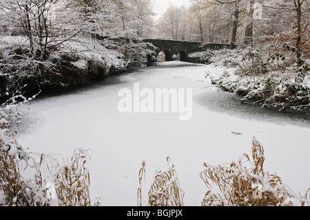 Minnowburn River, Belfast, gefroren und mit Schnee bedeckt Stockfoto