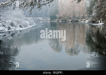 Fluss Lagan bei Minnowburn, Belfast, Halbgefrorenes, Banken mit Schnee bedeckt. Stockfoto