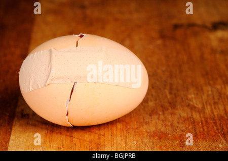 Stock Foto von einem gebrochenen Eierschale mit Klebeband wieder zusammen mit einem Heftpflaster. Stockfoto