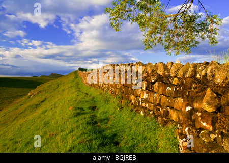 Ansicht der Hadrianswall eine antike römische bleiben aussehende Osten in der Nähe von Knag Burn in Richtung Sewingshields Klippen Northumberland England UK Stockfoto