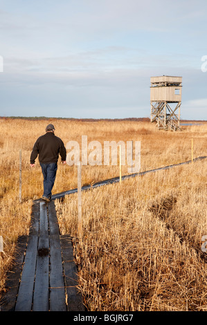 Ältere Vogelbeobachter Liminganlahti Bay Nature Reserve Rubrik zum Aussichtsturm, Finnland Stockfoto