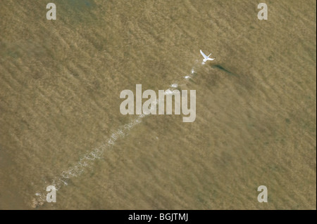 Blackwater Wildlife Refuge, Dorchester County Maryland mit Schnee aus der Luft Stockfoto