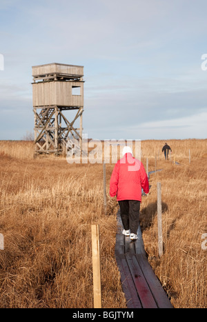 Ältere Vogelbeobachter Liminganlahti Nature Reserve Finnland Rubrik zum Aussichtsturm, Finnland Stockfoto