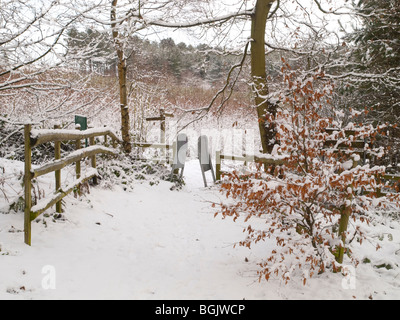 Schnee im Fox Covert Naturreservat in der Nähe von Calverton Nottinghamshire, England UK Stockfoto