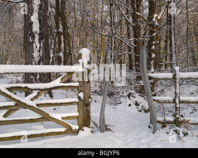 Schnee im Fox Covert Naturreservat in der Nähe von Calverton Nottinghamshire, England UK Stockfoto