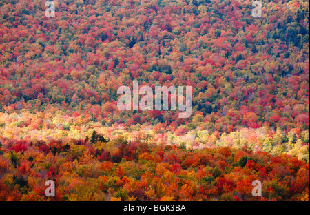 Mount Washington Valley - Pinkham Kerbe im Green's Grant, New Hampshire während der Herbstmonate. Stockfoto