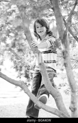 Junge sitzt im Baum Stockfoto