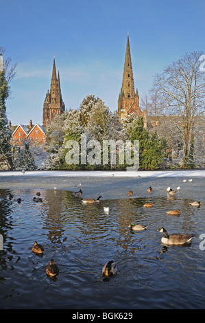 Drei Türme Kathedrale eingefroren Münster Pool Mallard Enten schwarz geleitet Möwen Kanadagänse auf verschneiten Winter Tag 2010 Lichfield UK Stockfoto