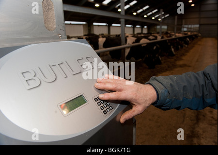 Landwirt auf einem Computer einzugeben, Programmierung eines Roboters die Rinder in Molkerei Schuppen-feeds. Stockfoto