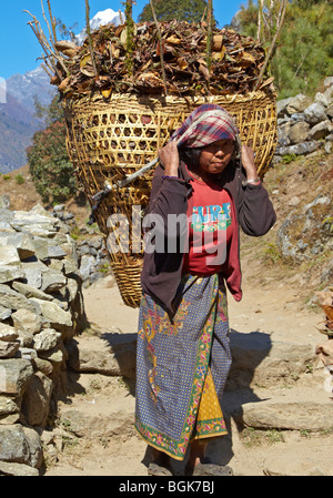 Sherpa Porter Everest Region Himalaya Nepal Asien Stockfoto