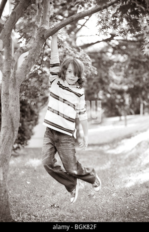 junge Baum hängend Stockfoto