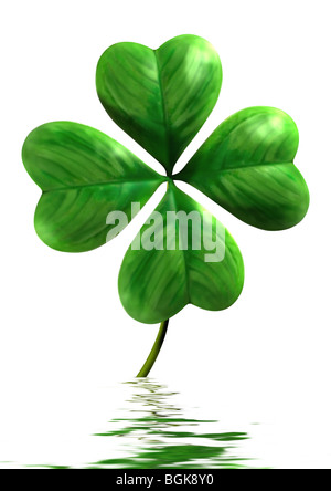 Vierblättriges Kleeblatt mit Spiegelung im Wasser Symbol des Glücks und der St. Patrick Day Urlaub isoliert auf weißem Hintergrund Stockfoto