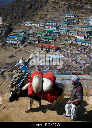 Yak Herder über Namche Bazar Himalaya Khumbu-Region Nepal Asien Stockfoto