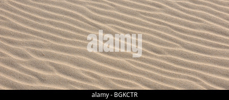 Abstrakte Muster der Seesand Wellen gebildet durch den Wind am Strand entlang der Küste Stockfoto