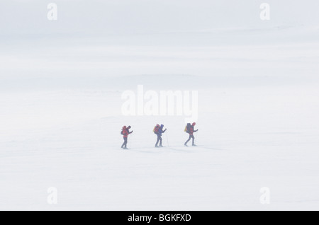 Wanderer sind Langlaufen in einem Schneesturm, Dovrefjell Nationalpark, Norwegen Stockfoto