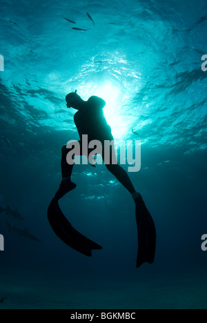 Ein Freitaucher beginnt seinen Aufstieg an die Oberfläche mit dem Licht von der Sonne kommt durch das Wasser Stockfoto