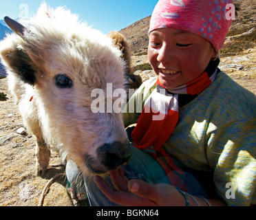 Weibliche Yak Herder mit Baby Yak Everest Region Himalaya Nepal Asien Stockfoto