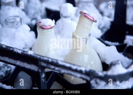 Gefrorene Milchflaschen, Hampshire, England. Stockfoto