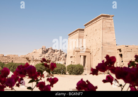 Tempel von Philae auf Agilika Insel in der Nähe von Assuan, Ägypten, Afrika Stockfoto