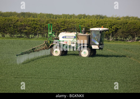 Selbstfahrende Crop Sprayer Sprühen von Pestiziden auf Weizen Stockfoto