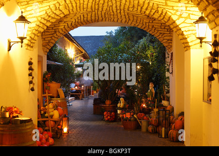 Weinstube und Restaurant Roemerzeche, Rust am Neusiedler See, Burgenland, Österreich, Europa Stockfoto