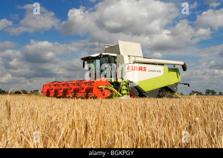 CLAAS Mähdrescher ernten Gerste bereit Stockfoto