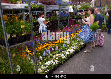 Käufer an der Kolumbien Road Flower Market, London Stockfoto