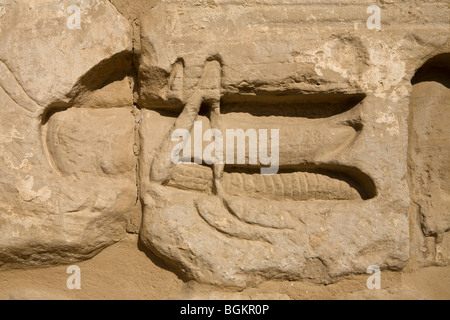 Reliefs, Heuschrecken oder Heuschrecke auf Wand in Medinet Habu, Leichenhalle Tempel von Ramses III, Westufer des Nil, Luxor, Ägypten Stockfoto