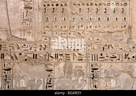 Nahaufnahme von geschnitzten Relief in Medinet Habu, Leichenhalle Tempel von Ramses III, Westufer des Nil, Luxor, Ägypten Stockfoto