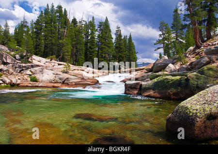 Kaskade am Tuolumne River, Yosemite-Nationalpark, Kalifornien Stockfoto