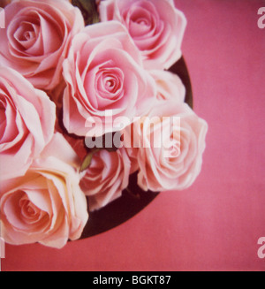Schüssel mit weichen rosa Rosen auf rosa Stockfoto