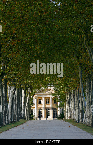 Château Margaux Eingang Sycamore Bäumen berühmten Weinberg Medoc Bordeaux Aquataine Frankreich Stockfoto