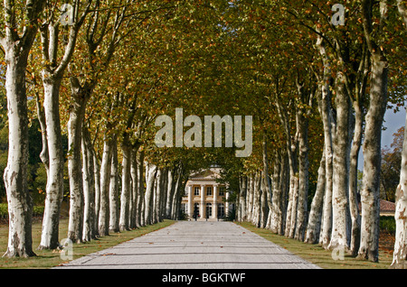 Château Margaux Eingang Sycamore Bäumen berühmten Weinberg Medoc Bordeaux Aquataine Frankreich Stockfoto