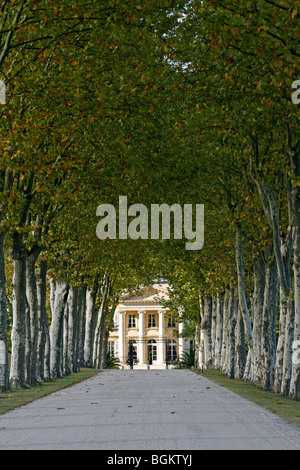 Château Margaux Eingang Sycamore Bäumen berühmten Weinberg Medoc Bordeaux Aquataine Frankreich Stockfoto